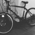 jameswesthead - @jckwesthead - Instagram