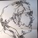 James Rice Widder - Facebook