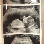 Elliot James Widmer - @elliotjameswidmer - Instagram