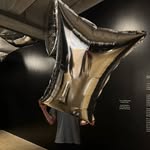 James Widmer - @james.widmer.520 - Instagram