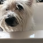James wigmore - @wiggy1963 - Instagram