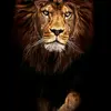 James_wims30 - @james_wims30 - TikTok