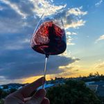 James - Mr Walk the Wine - @_walk_the_wine_ - Instagram