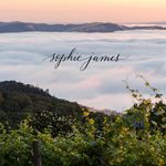 Sophie James Wine - @sophiejameswine - Instagram