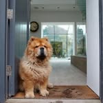 james wink - @apart_rentals - Instagram