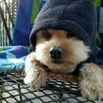 James Van Winkle - @james.vanwinkle - Instagram