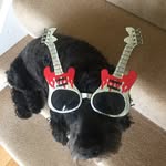 Jim Winton - @james.winton61 - Instagram