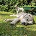 James Winzer - Facebook