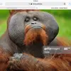 wolterjamescohen1010 - @james_wolter7 - TikTok