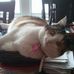 James Woolridge - Facebook