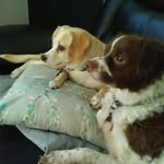 James Worthen - @worthen_james - Instagram