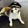 jameswurman - @jameswurman - TikTok