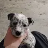 James Wurtz - @james.wurtz - TikTok