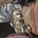 James Wygal - @jrwygalhtc - Instagram
