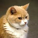 James Wyles - @wylesjames - Instagram