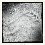 James Wyndham Hamilton - @jimmyhamilton38 - Instagram