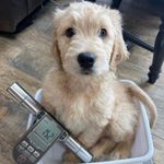 Ariana Yager James - @jam.esyager - Instagram