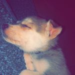 Chevy James Yarber - @chevyjames2 - Instagram