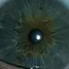 yaunjamesyaun - @jamesyaun6 - TikTok