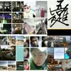 James yeom - @james.yeom2 - TikTok