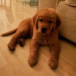 James Yip - @jamesyip95 - Instagram
