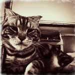 James Yip - @fjcyip - Instagram