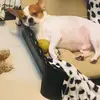 James Yip - @jamesyip02 - TikTok