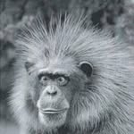 James Yoder - @james.yoder - Instagram