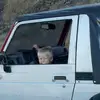 james.youngg - @james.youngg - TikTok
