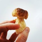 James Yuill - @themushroomwhisperer - Instagram