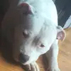 zacky Martin - @zacky.james_17 - TikTok