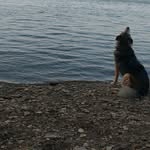 James Zarraga - @jameszarraga - Instagram