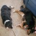 James Amy Zastrow - Facebook