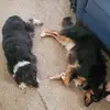 jamesamyzastrow - @jamesamyzastrow - TikTok