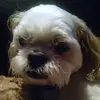 James Zynda951 - @jameszynda951 - TikTok