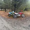 Jameson Murray - @jameson.murray1 - TikTok