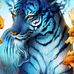 James Gray - Facebook