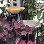 Jamie Abbott - @jamie.abbott.1694 - Instagram