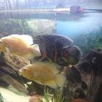 Jamie Abbott - @jamie.abbott1 - Instagram