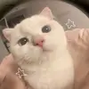 ❤️‍🔥 - @ash.jami_2012 - TikTok