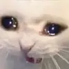 Jami and Ash - @the_2_gays_with_issues69 - TikTok