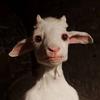 ieatdirt - @jamibishop - TikTok