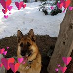 Jami Bradshaw - @terrylvr2000 - Instagram