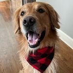 Jami Lundberg Cole - @jamimlc - Instagram