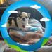 Jamie Coleman - Facebook