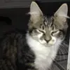 Jami Collins - @skelekitty05 - TikTok