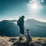 Jamie Dillon - @jamiewdillon - Instagram