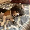 J@mie Dillon - @jamie.dillon15 - TikTok