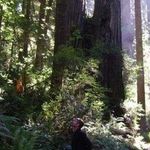 Jamie Dotson - @funguyintheforest - Instagram