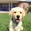Jamie Fleming - @jamie.fleming0 - TikTok